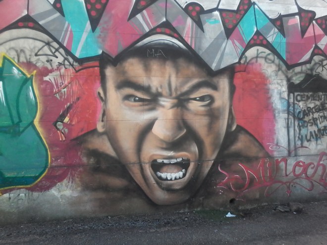 Muro de la calle Tomás Basañez VII