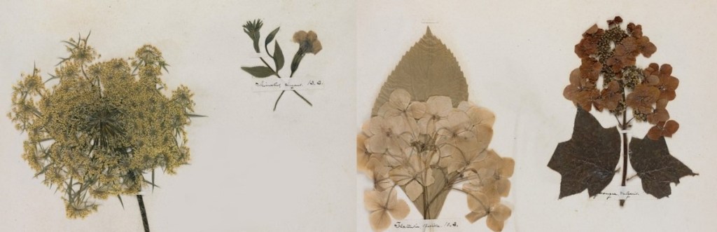 5 sonetos escritos de&nbsp;mañana