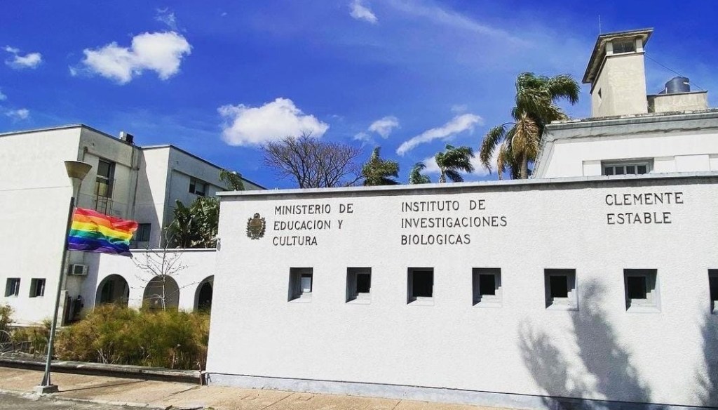 Los usos neoliberales de la inclusión y la&nbsp;diversidad