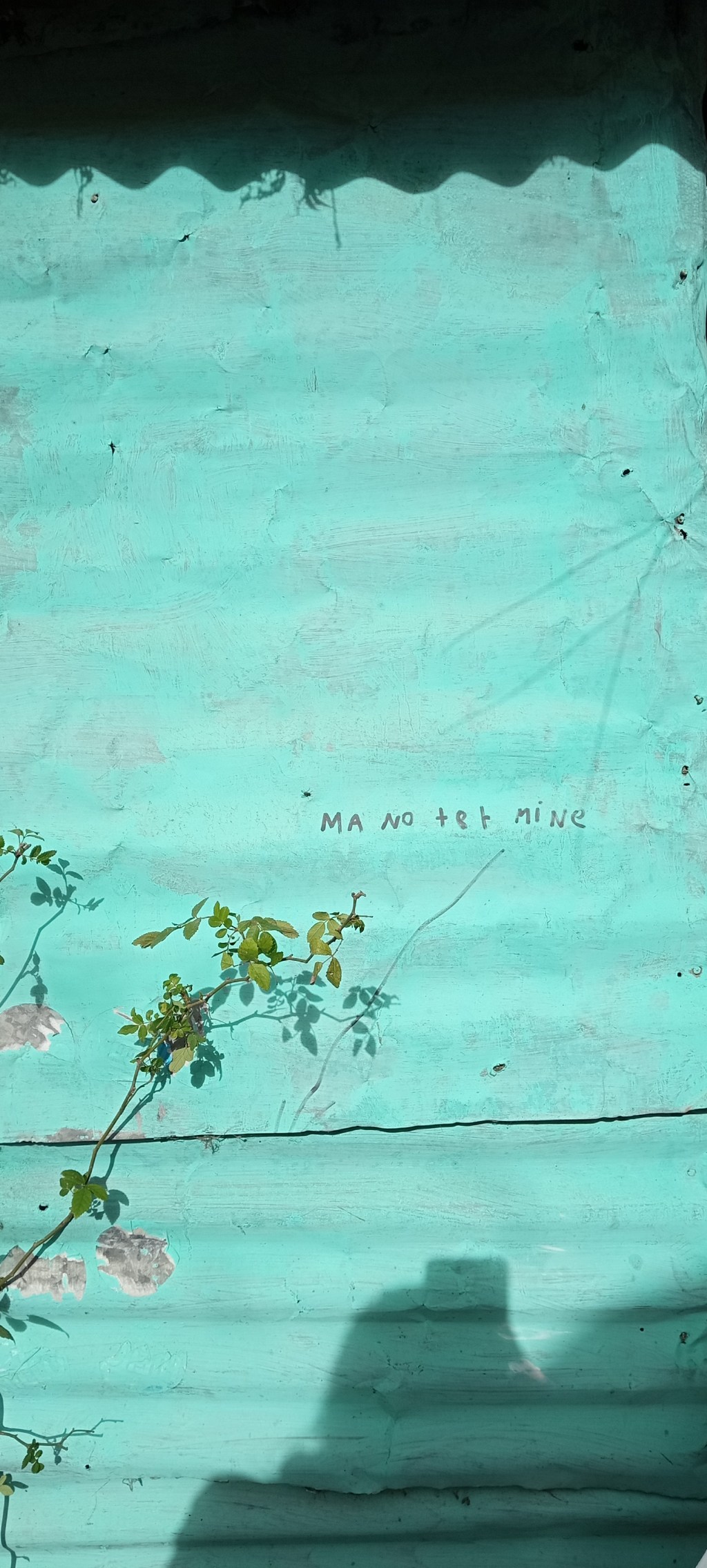 Una figurita repetida