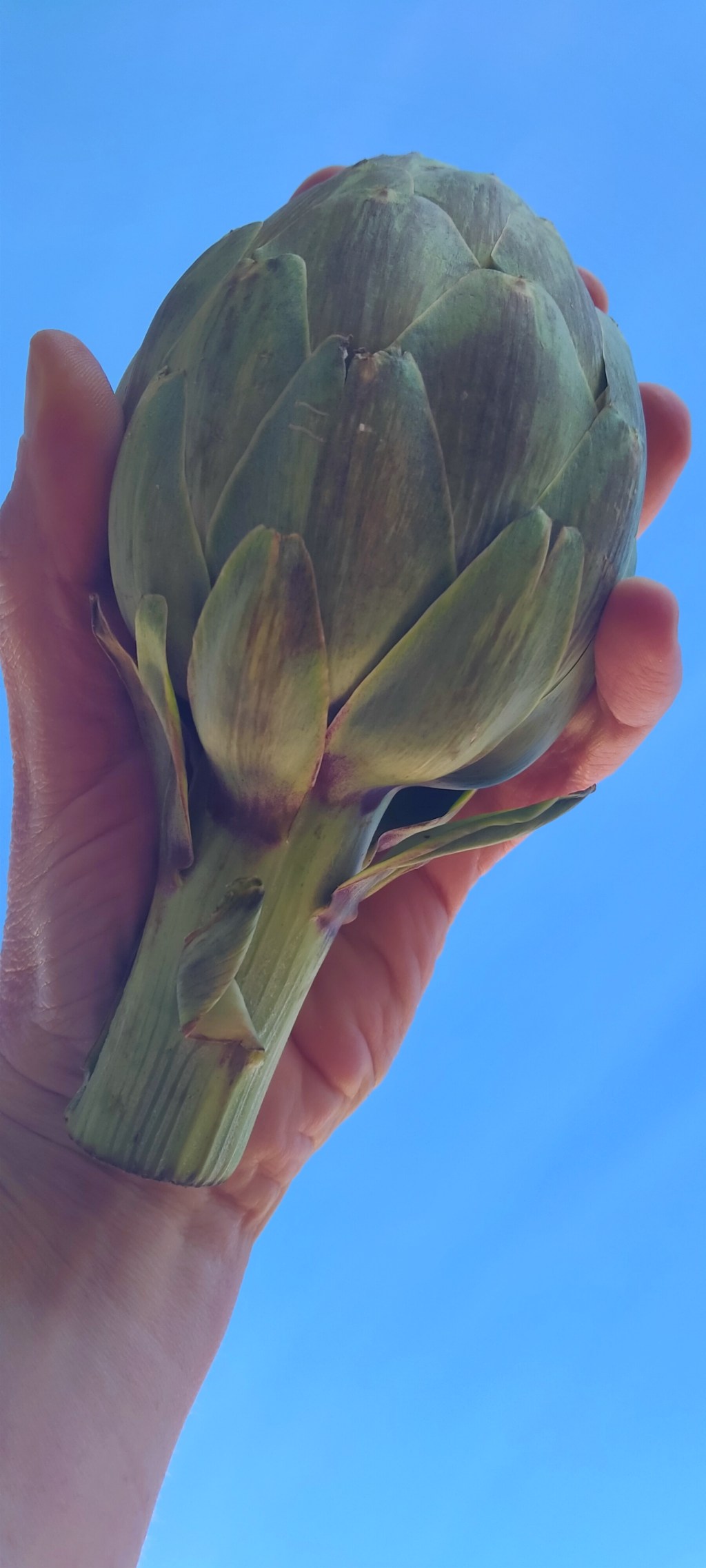 El que come y no convida tiene un sapo en la&nbsp;barriga